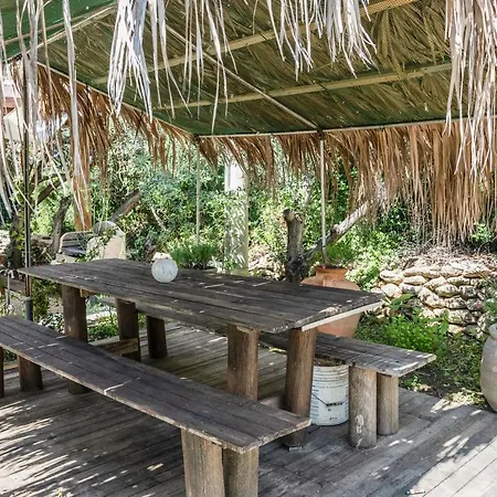 Le Nel Vitigno - * Modolo (Oristano)