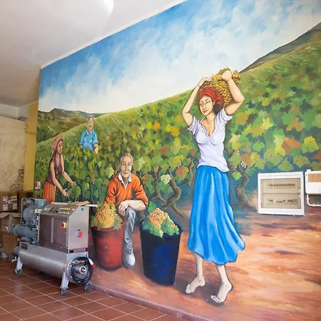 Apartament Le Nel Vitigno - *