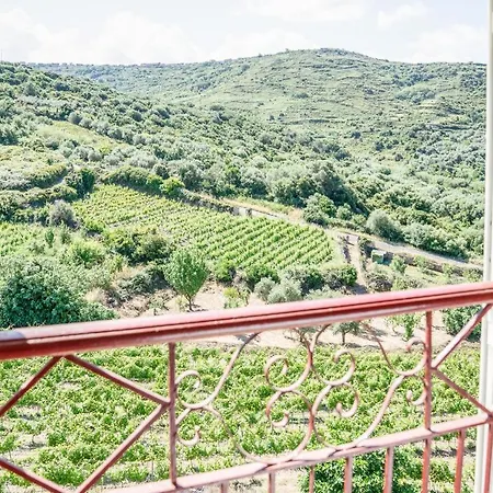 Le Nel Vitigno - Modolo (Oristano)