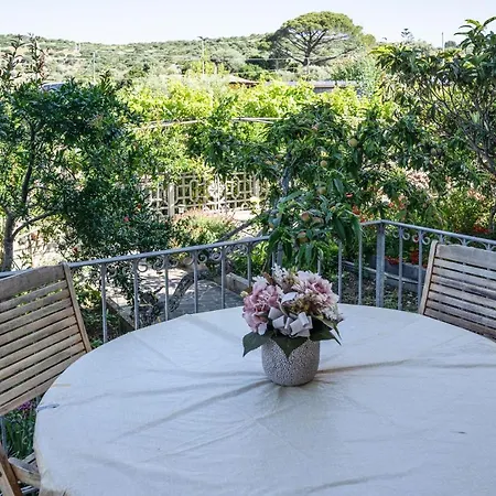 Apartament Le Nel Vitigno - *