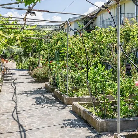 Apartment Le Nel Vitigno -