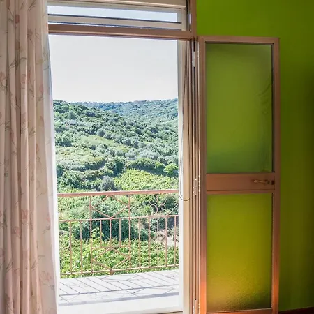 Le Nel Vitigno - * Modolo (Oristano)