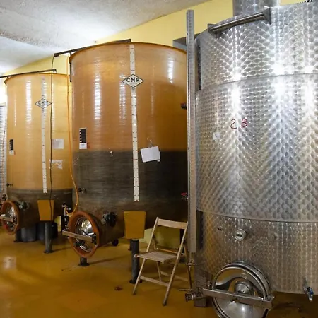 Le Nel Vitigno - 아파트 모돌로