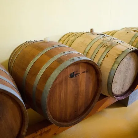 Nel Vitigno A
