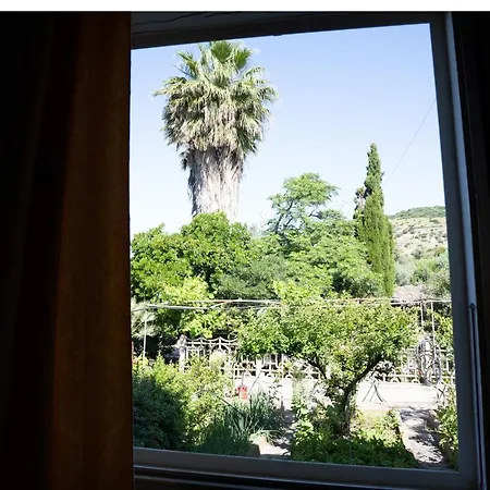 Le Nel Vitigno - *